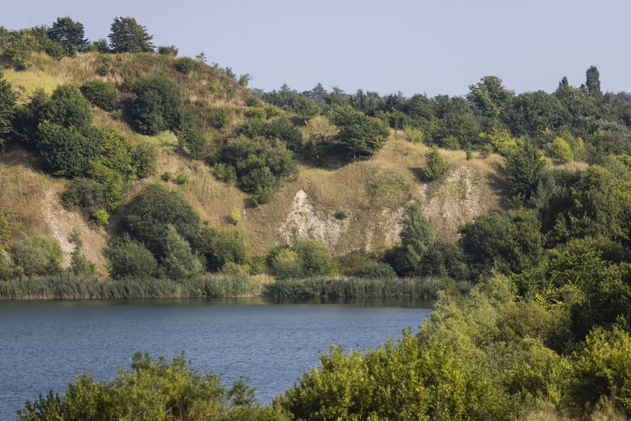 LYNGE_20220815_TH_0020