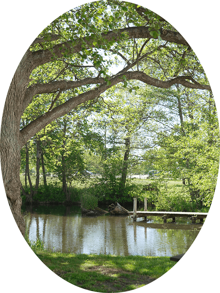 Kongebakkerne_Website_Ovalt-crop1_05